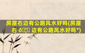 房屋右边有公路风水好吗(房屋右 🦋 边有公路风水好吗*
)